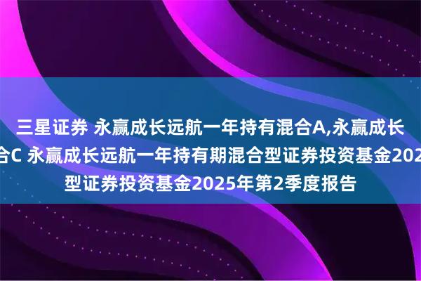 三星证券 永赢成长远航一年持有混合A,永赢成长远航一年持有混合C 永赢成长远航一年持有期混合型证券投资基金2025年第2季度报告